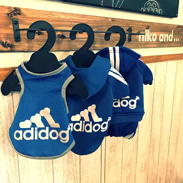 「自分好みに作れるのが魅力！犬好きによる犬のためのDIY実例10選」の画像