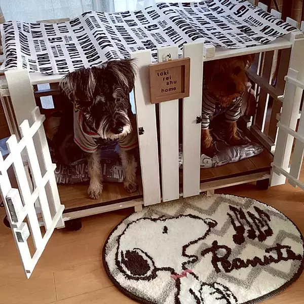 「自分好みに作れるのが魅力！犬好きによる犬のためのDIY実例10選」の画像