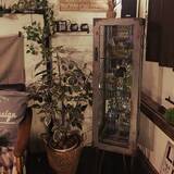 「小物から家具まで☆アイアン風ペイントでどんなものも生まれ変わる」の画像7