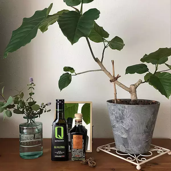 「「穏やかに夫婦の時間を満たし育む、感性が輝くシンプルな平屋」 by chi_8777さん」の画像