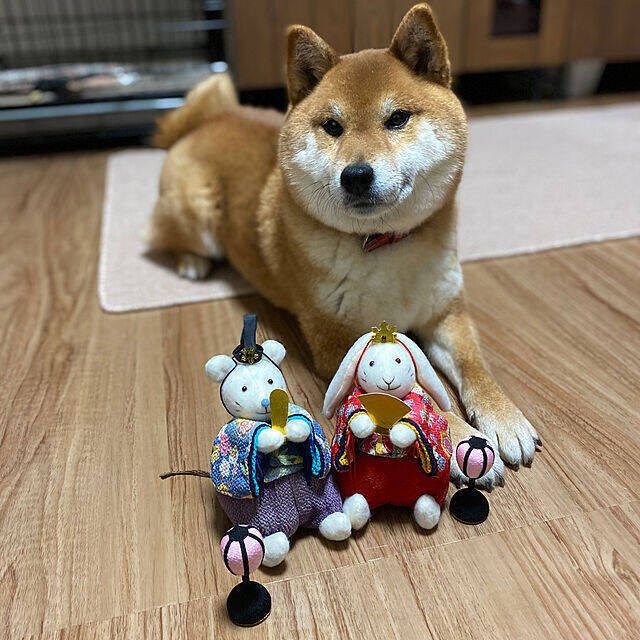 思わず笑顔に♡ぬくもりあふれる手作りのぬいぐるみ＆編みぐるみ