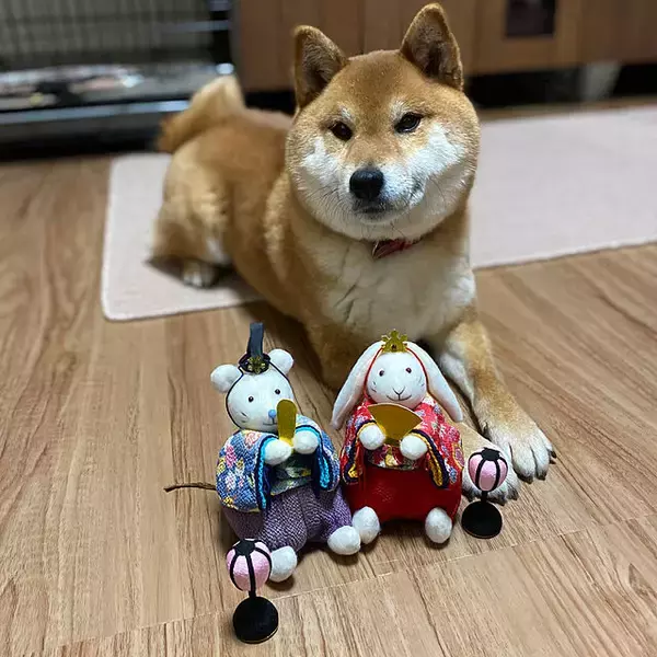 「思わず笑顔に♡ぬくもりあふれる手作りのぬいぐるみ＆編みぐるみ」の画像