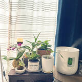 「機能別で比較！無印良品のアロマディフューザー実用例」の画像7