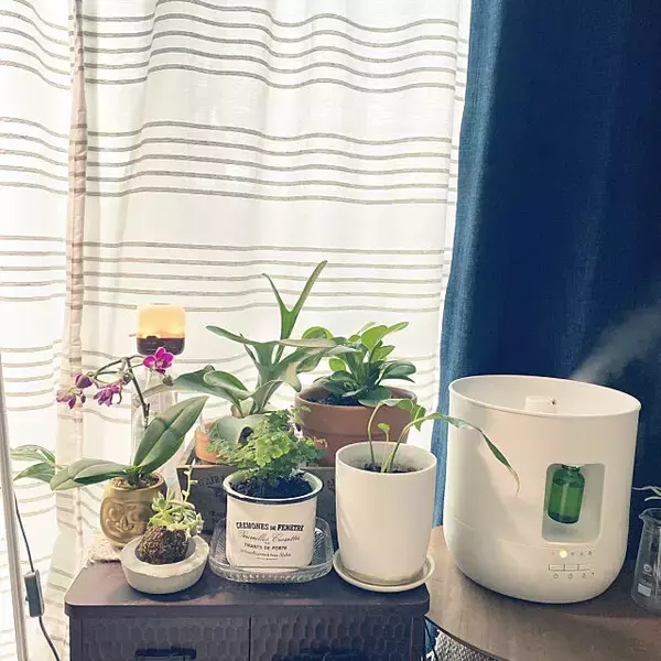 機能別で比較！無印良品のアロマディフューザー実用例