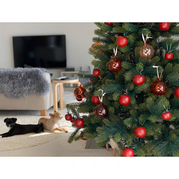 聖なる夜をディスプレイ お手本にしたいクリスマスツリーの飾り方10選 年12月3日 エキサイトニュース