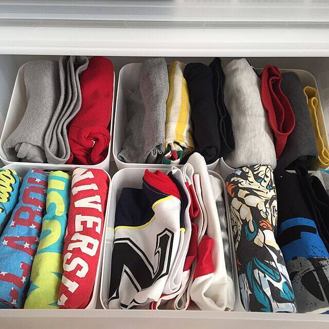 色んな場所にぴったりフィット☆セリアのカトレケースが優秀すぎる