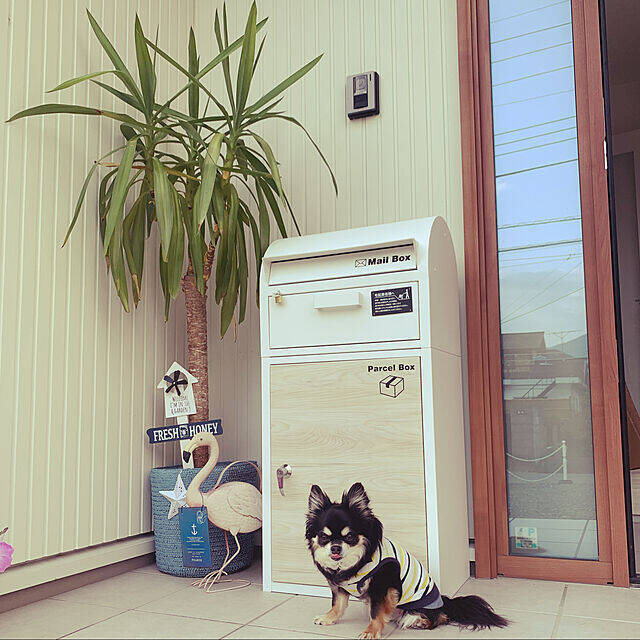 これからの家づくりに！あると便利な宅配ボックスのある暮らし