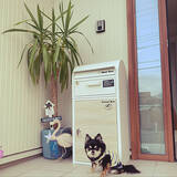 「これからの家づくりに！あると便利な宅配ボックスのある暮らし」の画像9