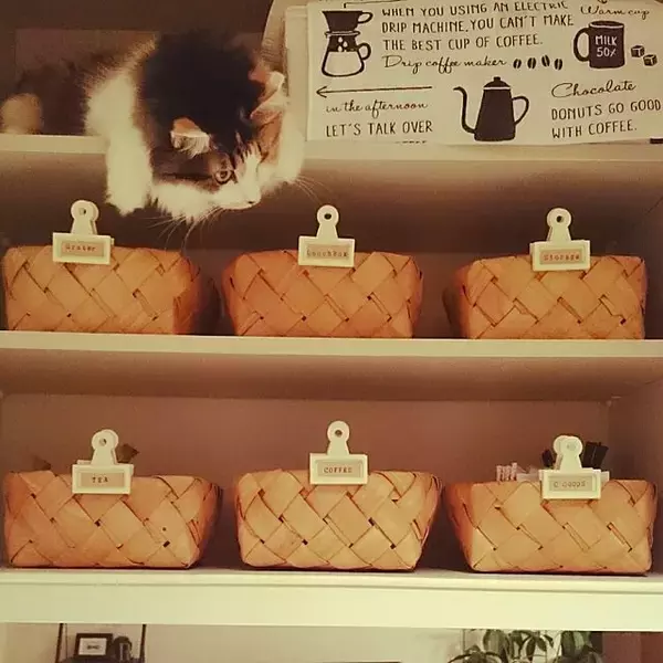 「目的のものがすぐに取り出せる！収納のラベリングテクニック」の画像