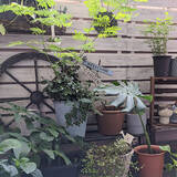 「捨てる前にひと工夫☆可能性広がる段ボールのリメイク作品集」の画像11