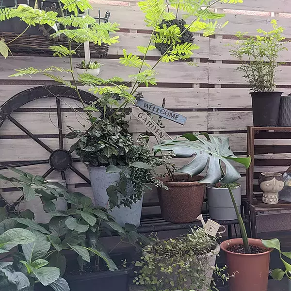 「捨てる前にひと工夫☆可能性広がる段ボールのリメイク作品集」の画像