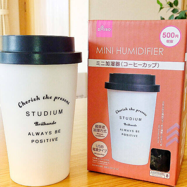 手軽な加湿器が見つかる♪種類豊富な100均の加湿アイテム