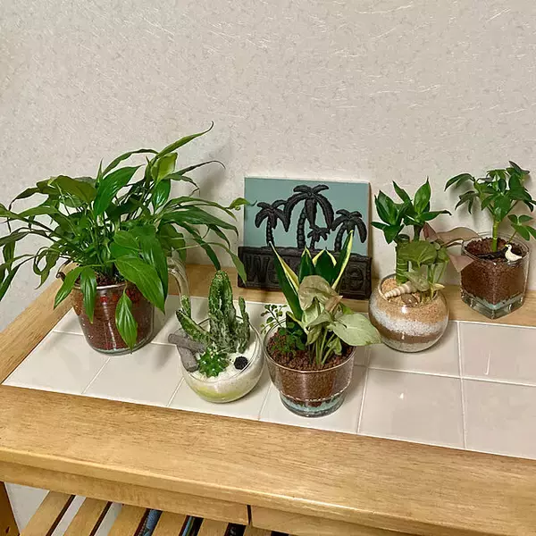 「調味料を量ったりおどろきの使い方をしたり☆こだわりの計量カップを拝見」の画像