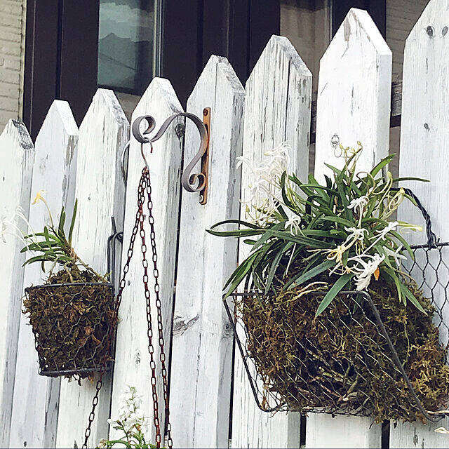 「ワイヤーメッシュラティスを曲げるだけでできる、壁・塀掛け植木カゴ」 by ayomoyuさん