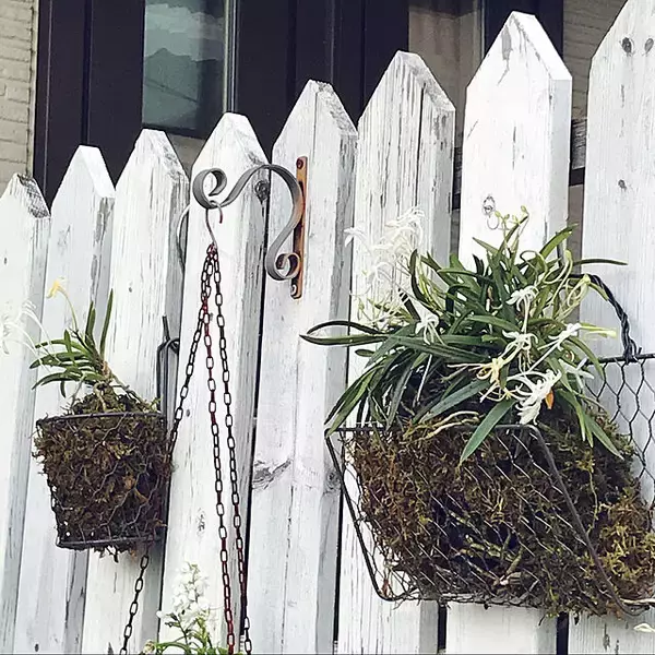 「「ワイヤーメッシュラティスを曲げるだけでできる、壁・塀掛け植木カゴ」 by ayomoyuさん」の画像