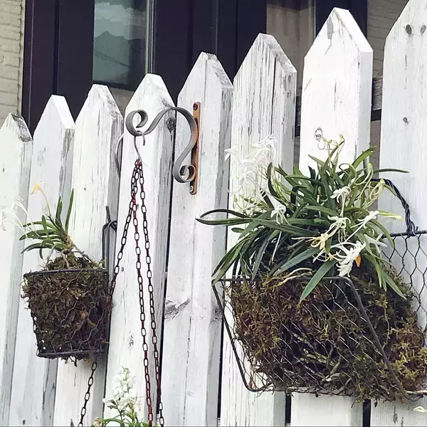 「ワイヤーメッシュラティスを曲げるだけでできる、壁・塀掛け植木カゴ」 by ayomoyuさん