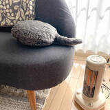 「「25ｍ2。暮らして眺めて癒される、品よく可憐なお部屋づくり」 by kaoroomさん」の画像12