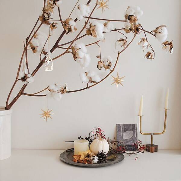 お部屋に温もりと彩りを 冬のインテリアに飾りたい切り花や枝物 21年1月15日 エキサイトニュース