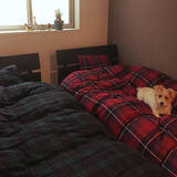 「ノスタルジックな空間作りに☆チェック柄を取り入れたインテリア」の画像6