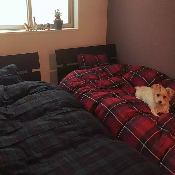 「ノスタルジックな空間作りに☆チェック柄を取り入れたインテリア」の画像