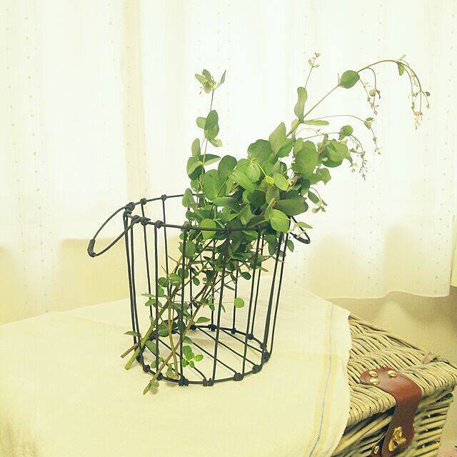 ワイヤーがインテリアになる！自分好みに作るワイヤークラフト10選