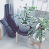 「健康的な暮らしと見栄えするインテリアを両立☆ヨガマットのある風景」の画像11