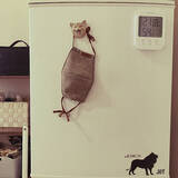 「ここを攻略すると暮らし上手に近づける♪冷蔵庫まわりの便利な工夫」の画像10