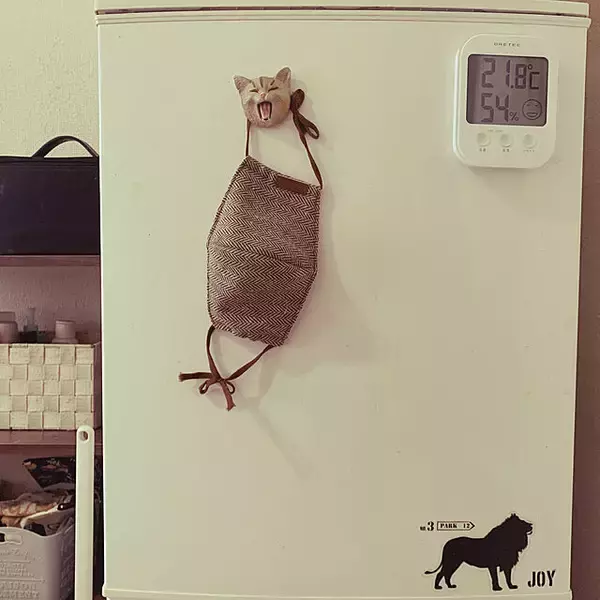 「ここを攻略すると暮らし上手に近づける♪冷蔵庫まわりの便利な工夫」の画像