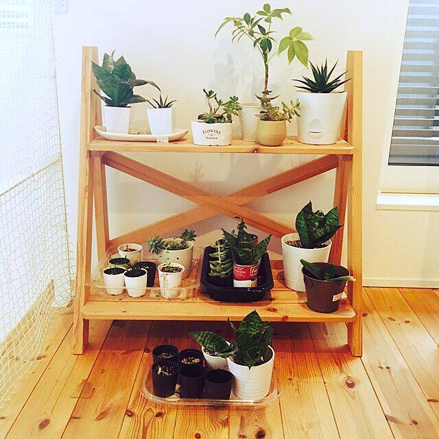 ほっと落ち着けるスペースに♡ナチュラルな窓際インテリア