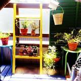 「ディスプレイに大活躍！ラダーDIYでお部屋をアレンジ」の画像2