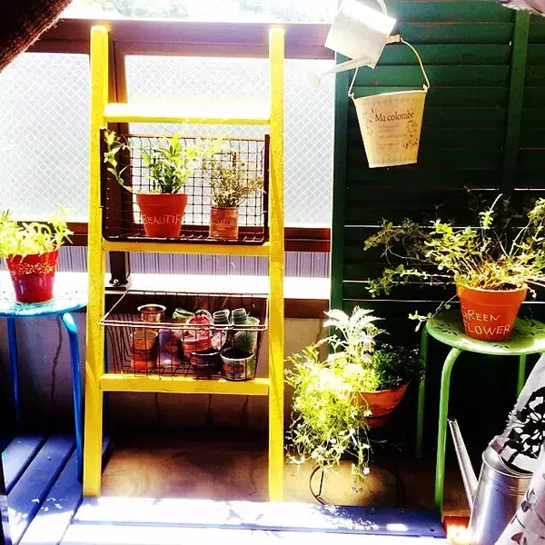 「ディスプレイに大活躍！ラダーDIYでお部屋をアレンジ」の画像