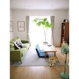 「爽やかさに心惹かれる♡緑色好きさんのためのグリーンコーディネート実例集」の画像4