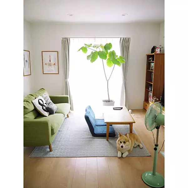 「爽やかさに心惹かれる♡緑色好きさんのためのグリーンコーディネート実例集」の画像