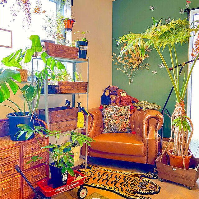 爽やかさに心惹かれる♡緑色好きさんのためのグリーンコーディネート実例集