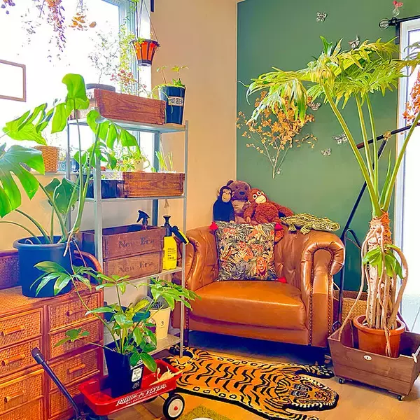 「爽やかさに心惹かれる♡緑色好きさんのためのグリーンコーディネート実例集」の画像