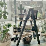 「省スペースでお部屋をグッとセンスアップ！ラダーラックの活用方法」の画像3