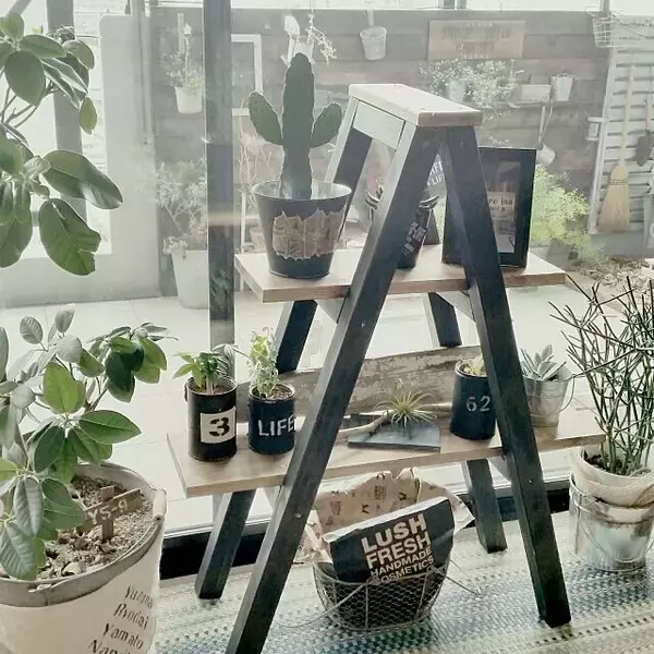 「省スペースでお部屋をグッとセンスアップ！ラダーラックの活用方法」の画像