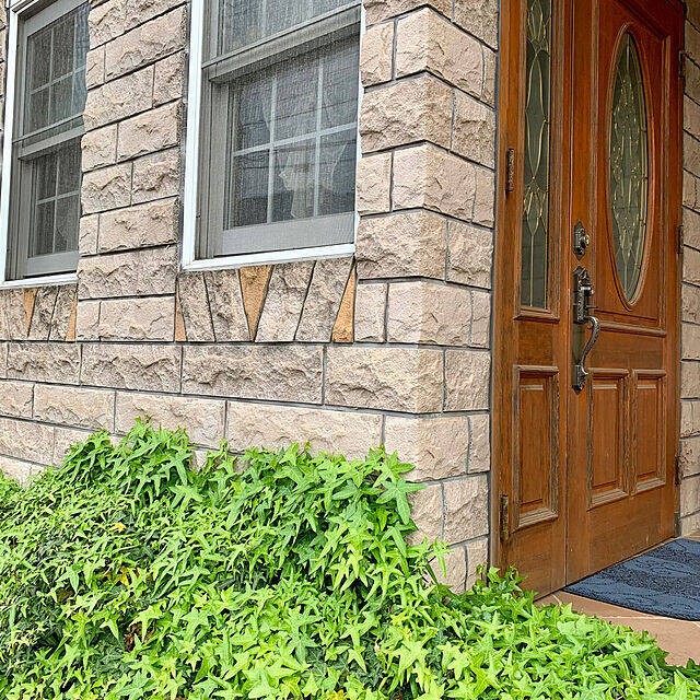 理想のお家はどんな外観 外壁タイルの実例カタログ 21年3月18日 エキサイトニュース 2 3