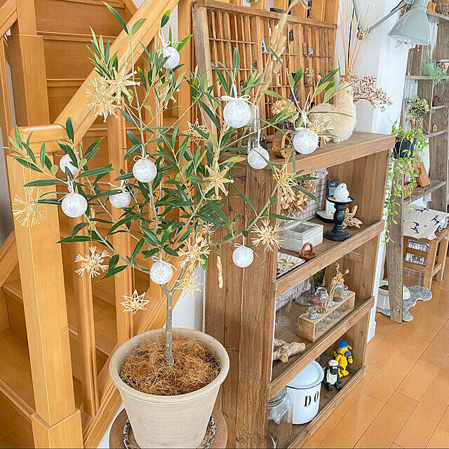 そのフォルムにときめく♪思わず見惚れるオリーブの木がある風景 