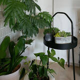 「お家のいろんな場所に自由に置いて☆イケアのサイドテーブル活用例」の画像8