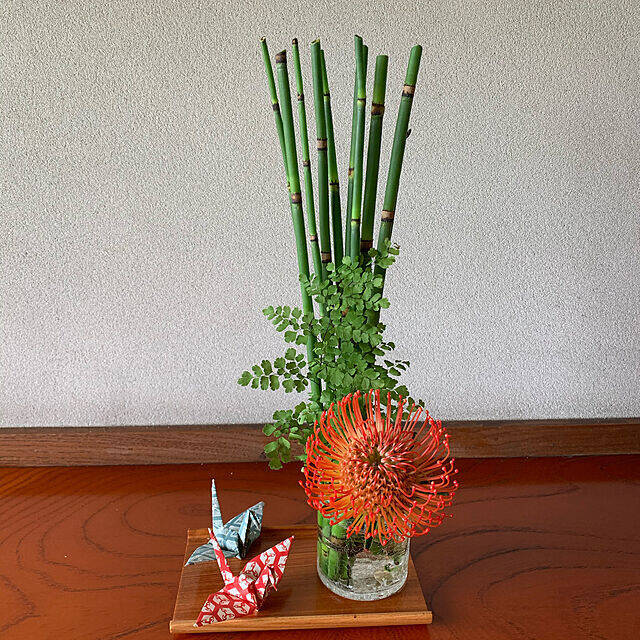 インテリア映えを狙うならグリーンはコレが◎ふんわり涼しげなアジアンタム