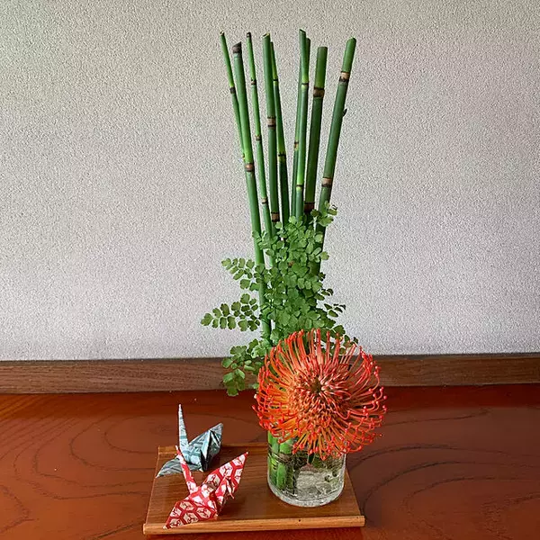 「インテリア映えを狙うならグリーンはコレが◎ふんわり涼しげなアジアンタム」の画像