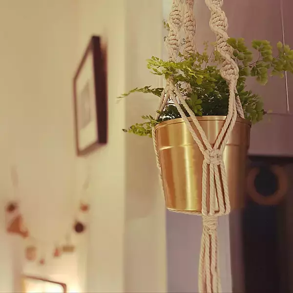 「インテリア映えを狙うならグリーンはコレが◎ふんわり涼しげなアジアンタム」の画像