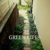 「インテリア映えを狙うならグリーンはコレが◎ふんわり涼しげなアジアンタム」の画像11