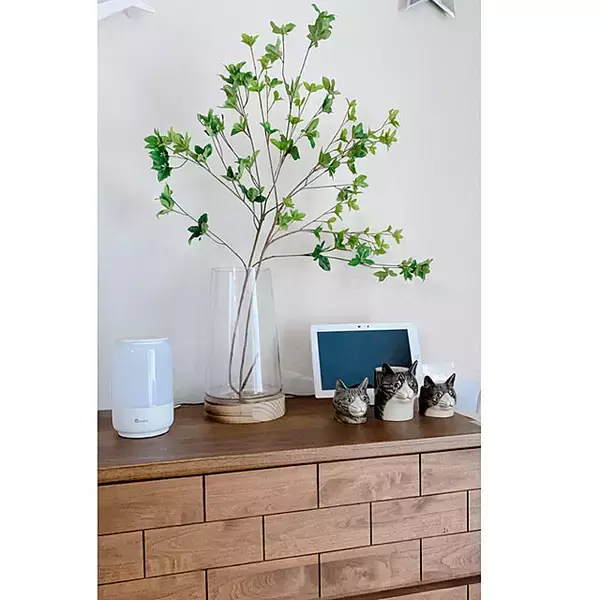 「インテリアに清涼感をプラス◎ドウダンツツジを取り入れたお部屋実例10選」の画像