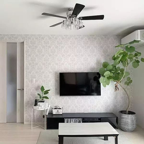 「リビングに癒しのアクセント♪インテリアに添えたい観葉植物と飾り方」の画像