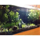 「リラックスタイムで生活の質をぐっとアップ☆落ち着くためにしたいこと」の画像10