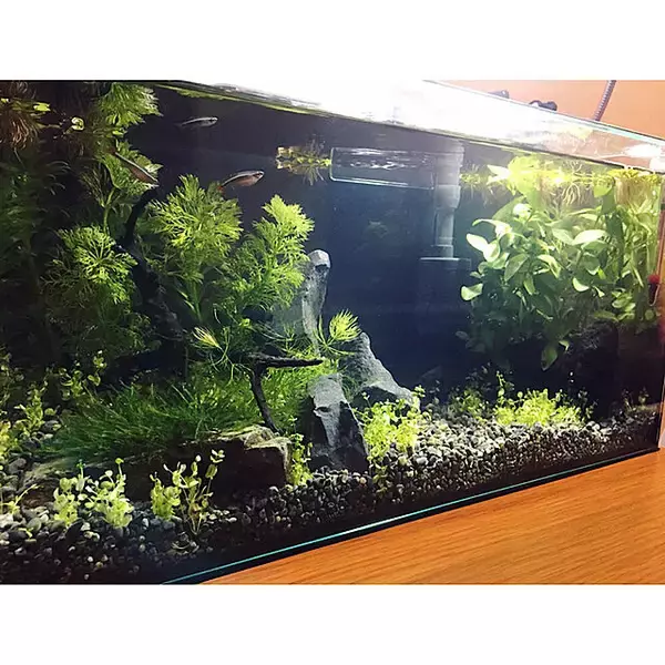 「リラックスタイムで生活の質をぐっとアップ☆落ち着くためにしたいこと」の画像