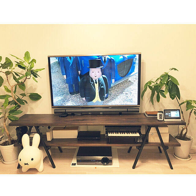 楽しいテレビタイムがもっと充実しそう♡DIYテレビ台のある風景