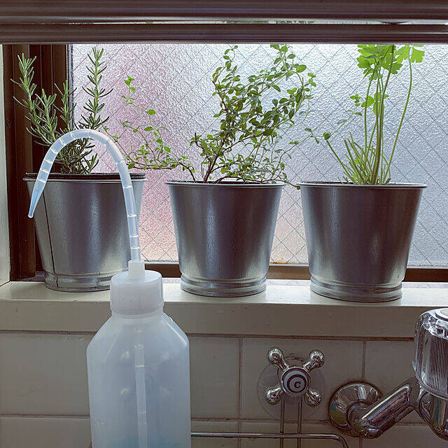 自分で育てるからこその楽しみがある ハーブ栽培のある暮らし 21年6月12日 エキサイトニュース 2 3